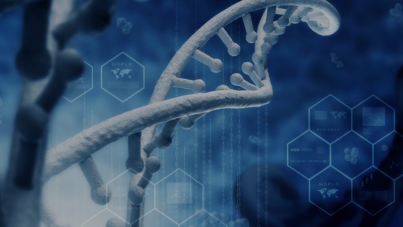 药膳减肥食谱：种类与搭配，科学减脂新选择
